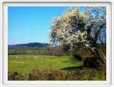 Printemps