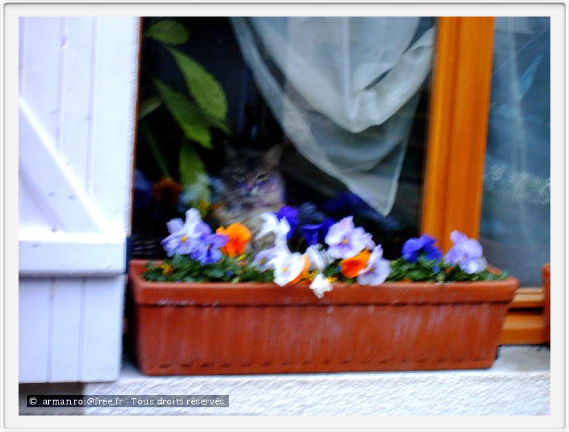 Derrière la jardinière.