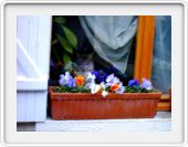 Derrière la jardinière.