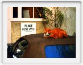 Place reservée.